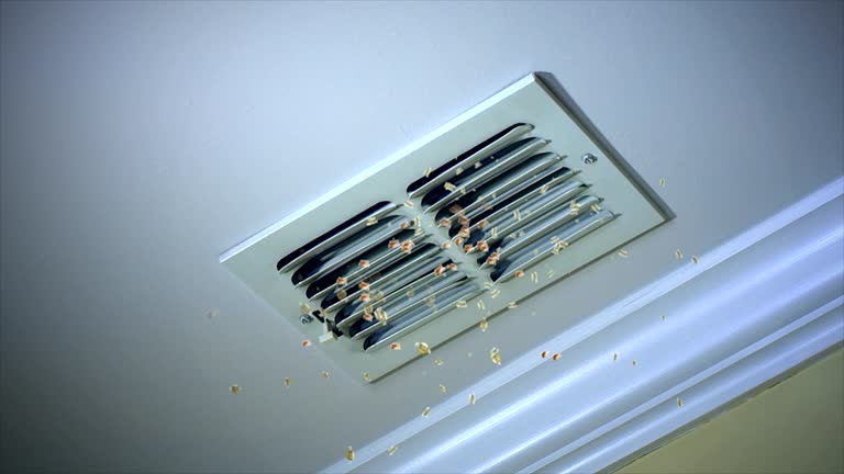 Best Air Duct Mold Removal  in Shoreacres, TX